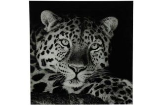 Schilderij Selvaggio luipaard zwart/wit