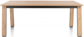 Tafel Delmonte 170 x 100