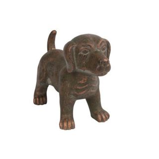 Perrito hond sita staand bruin